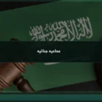 محاميه جنائيه لفهم الدفاع في القضايا الجنائية